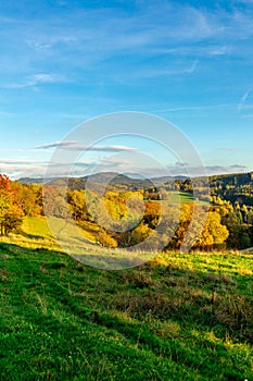 Strolling through the glorious sunshine on an autumn day near Steinbach-Hallenberg