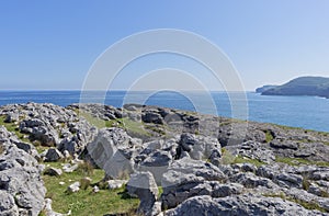 Strolling through the ojerada