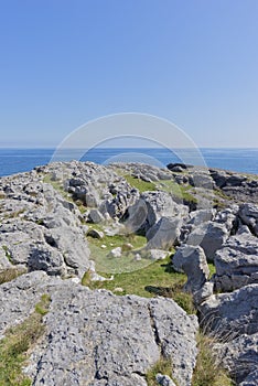 Strolling through the ojerada