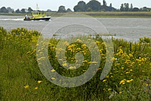 Strolling through `Rivierenland`, the Netherlands