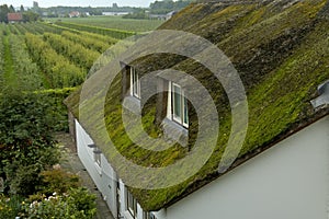 Strolling through `Rivierenland`, the Netherlands