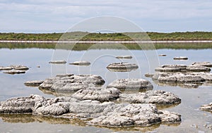 Stromatolite Clusters