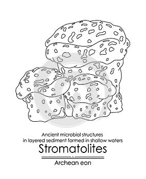 Stromatolites ancient microbial structures photo
