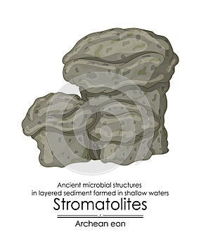 Stromatolites formations ancient microbial structures photo