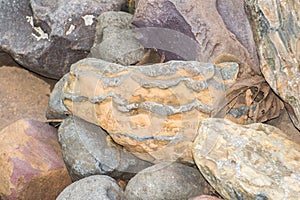 Stromatolite Limestone Formation India photo