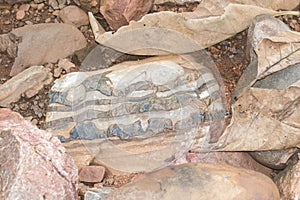 Stromatolite Limestone Formation India