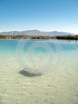 Stromatolite Reef Cuatro Cienegas Mexico