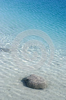 Stromatolite Reef Cuatro Cienegas Mexico photo