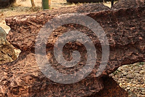 Stromatolite stone background texture