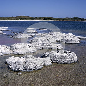 Stromatolites