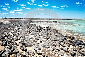 Stromatolites Australia