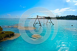 Stromatolites in Bacalar Lagoon of Mexico