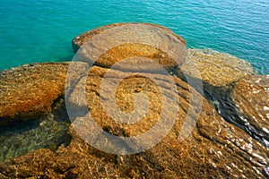 Stromatolites in Bacalar Lagoon of Mexico