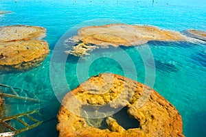 Stromatolites in Bacalar Lagoon of Mexico