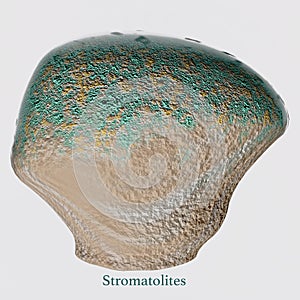 Stromatolites with Font