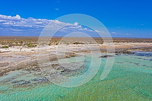 Stromatolites at Hamelin pool in Australia