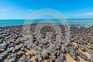 Stromatolites at Hamelin pool in Australia