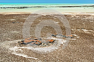 Stromatolites at Hamelin Pool - Denham