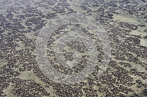 Stromatolites in Hamelin Pool Nature Reserve