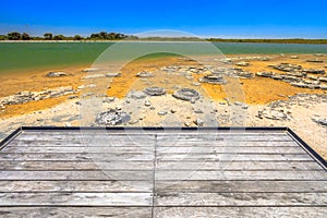 Stromatolites Lake Thetis