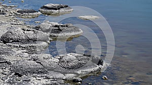 Stromatolites in Lake Thetis Cervantes Western Australia 02