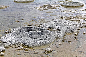 Stromatolites at Lake Thetis, Western Australia
