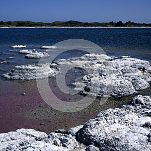 Stromatolites