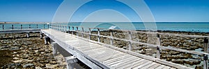 Stromatolites at Shark Bay Western Australia