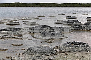 Stromatolites or stromatoliths