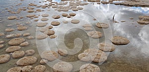 Stromatolites thrombolites Lake Clifton Westen Australia