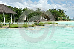 Stromatolites zone in lagoon