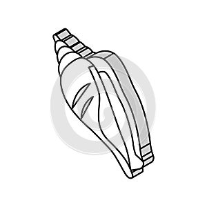 strombus sea shell beach isometric icon vector illustration