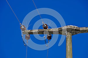 Power pole and power supply line