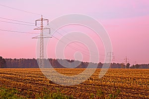 Strommasten, Kornfeld, Morgenlicht