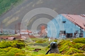 Stromness Whaling Station on South Georgia