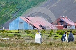 Stromness Whaling Station on South Georgia