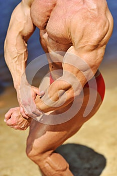 Stron man torso. Bodibuilder portrait closeup