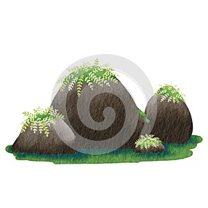 strone reef with mosÃ Â¸Â« and fern on grass ground watercolor illustration for decoration on nature landscpae , garden and spring photo