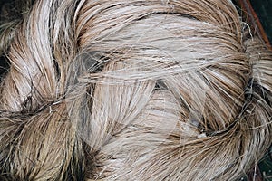 Strong Abaca fibers, a natural leaf fiber, AKA called Manila hemp or Musa textilis from Banana tree leafstalk native to Philipines