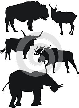Strong animals silhouettes