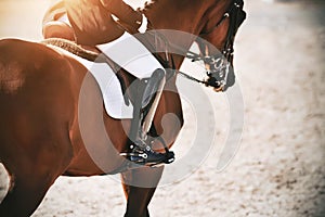 A strong, athletic Bay horse with a rider in the saddle canters quickly across the sand