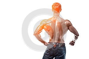 Strong Athletic Man Fitness Model posing back muscles, triceps o