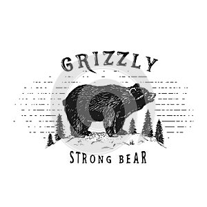 Strong bear in forest