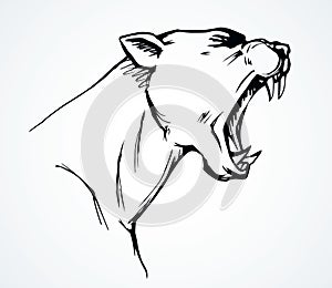 Open mouth. Grin. Vector drawing photo