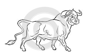 Strong bull