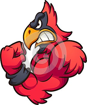 Strong cartoon red cardinal mascot