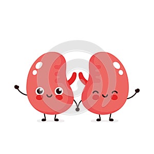 Strong cute healthy happy kidneys
