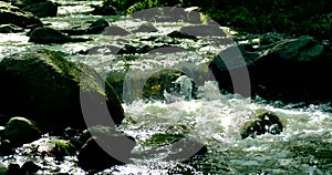 Strong and dangerous water flows After heavy rain on a mountain that is a forest.