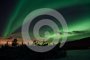 Strong dreamy aurora borealis on star filled nigh sky over spruce trees and snowy field