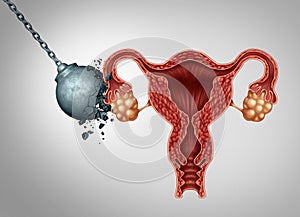 Strong Female Fertility photo